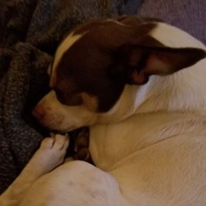 Meet your Posher, Diego